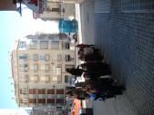 DSC01275.JPG