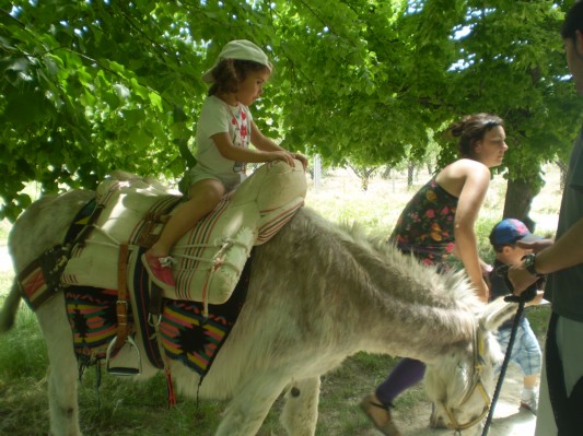 Granja de Agres 2009-2010 (54).jpg