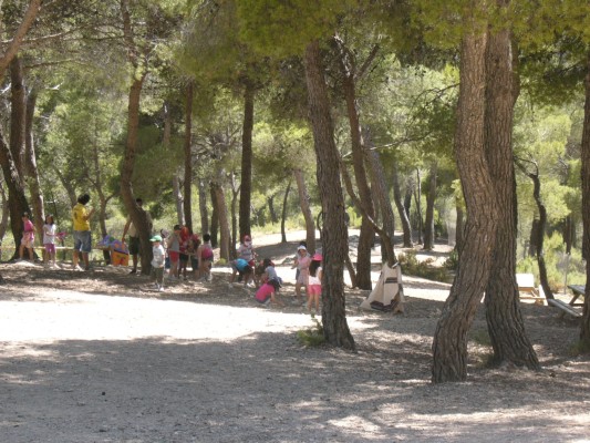 P1100842.JPG