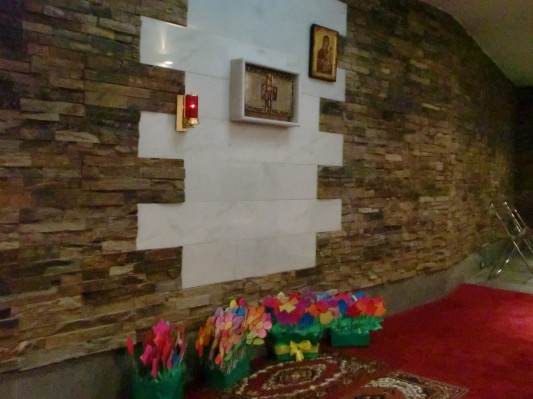 CIMG1737.JPG